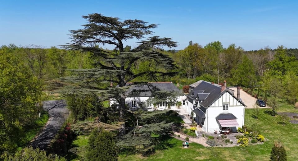 Natural landscape, Bird's eye view, Garden, Garden view