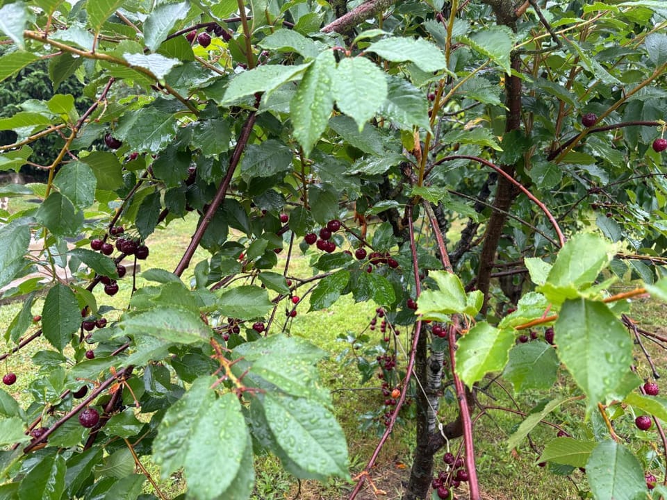 Maison 4 Chambres Normandie House in Normandy