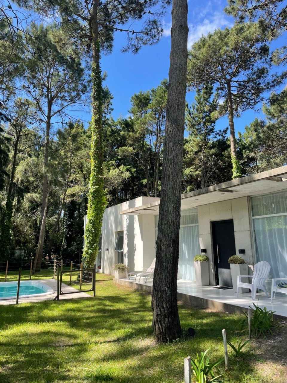 Property building, Patio, Spring, Day, Natural landscape, Garden, Garden view, Pool view, Swimming pool, sunbed