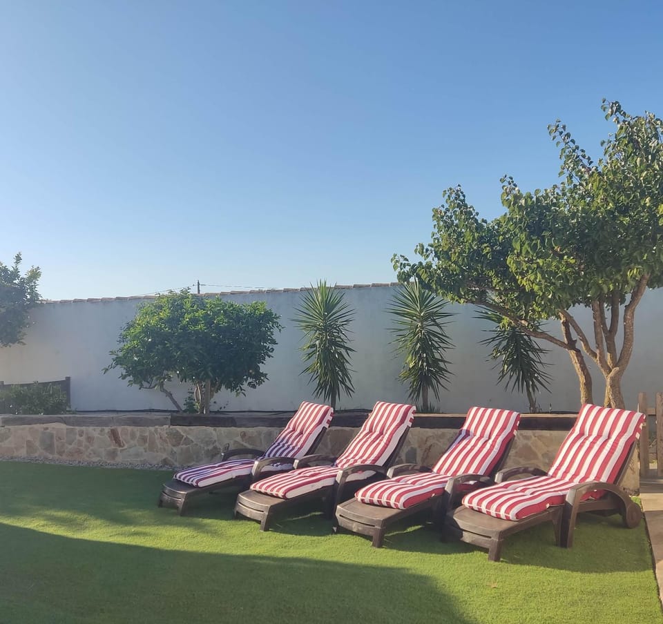 Garden, Garden view, Swimming pool, sunbed