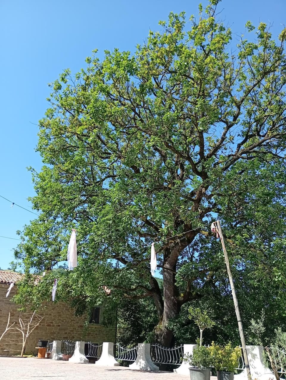 La grande quercia Bed and Breakfast in Emilia-Romagna