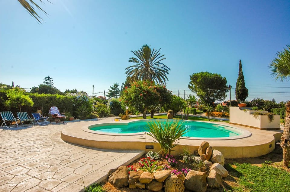 Spring, Day, Natural landscape, Garden, Garden view, Pool view, Swimming pool, Swimming pool, sunbed