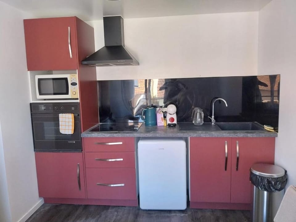 Le Figuier Apartment in Le Mans