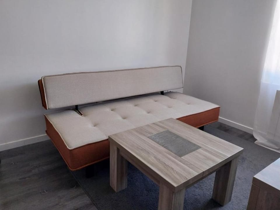 Le Figuier Apartment in Le Mans