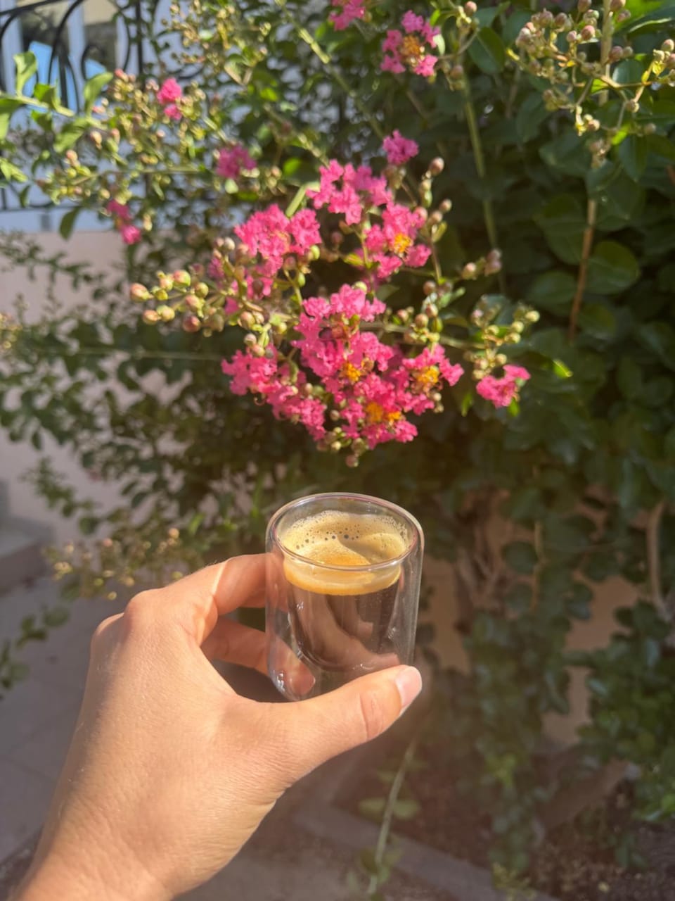 Day, Garden, Coffee/tea facilities