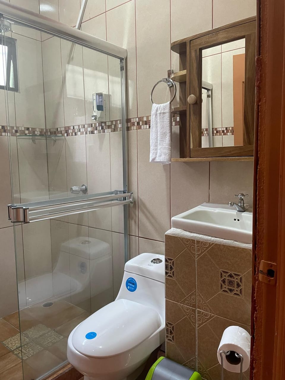 Shower, Toilet, Bathroom, towels