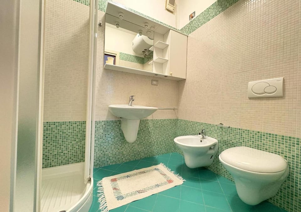 Shower, Toilet, Summer, Bathroom, bidet, hair dryier, heating, internet, towels, air conditioner
