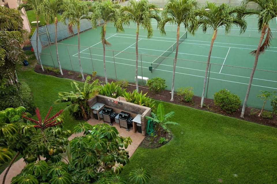 Maui Vista 2223 Apartment in Kihei