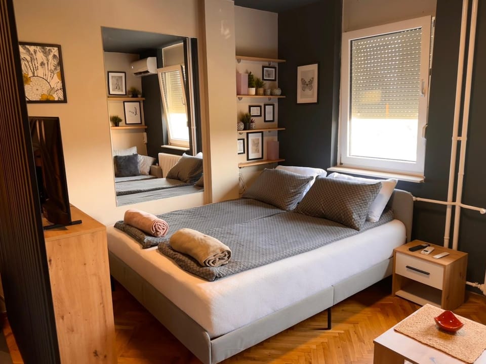 La Mariposa Apartment in Novi Sad