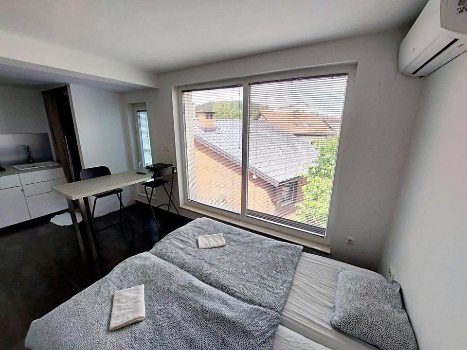Bella Lubiana Apartment in Ljubljana