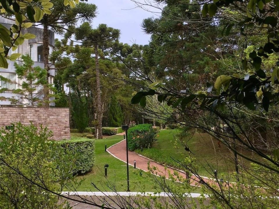 Spring, Day, Natural landscape, Garden, Garden view