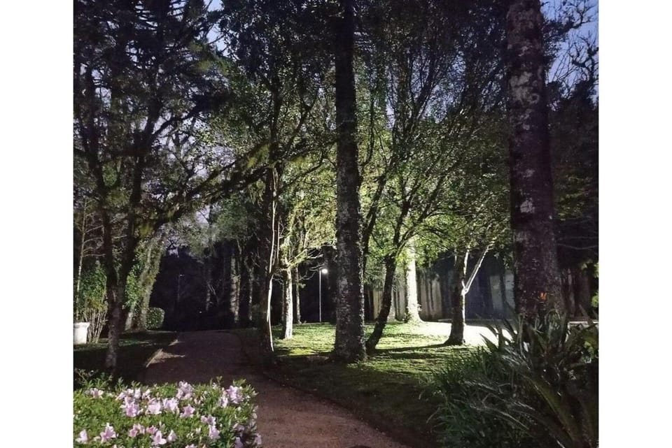Spring, Day, Natural landscape, Garden, Garden view