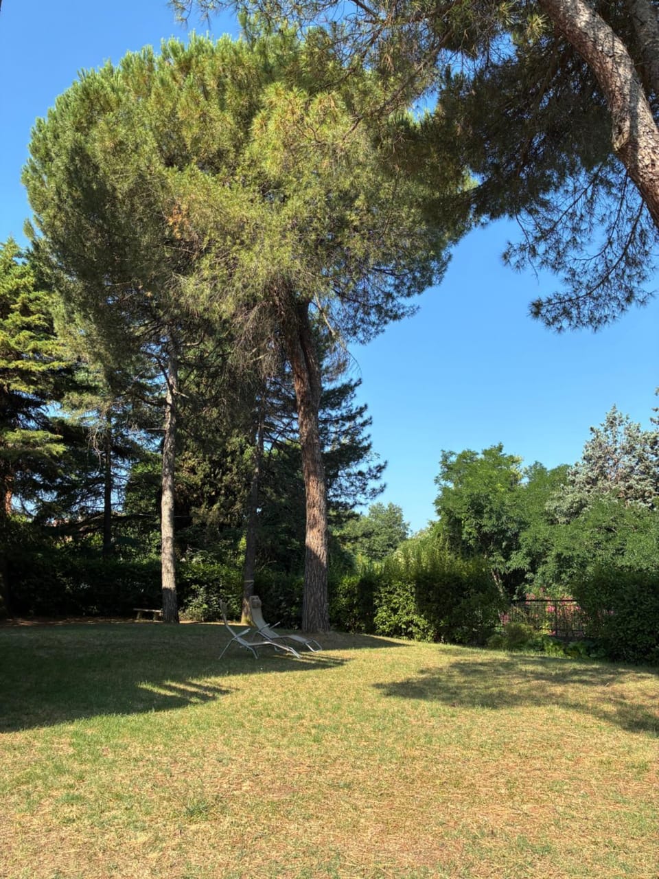 BASISA Bed&Breakfast Bed and Breakfast in Bologna