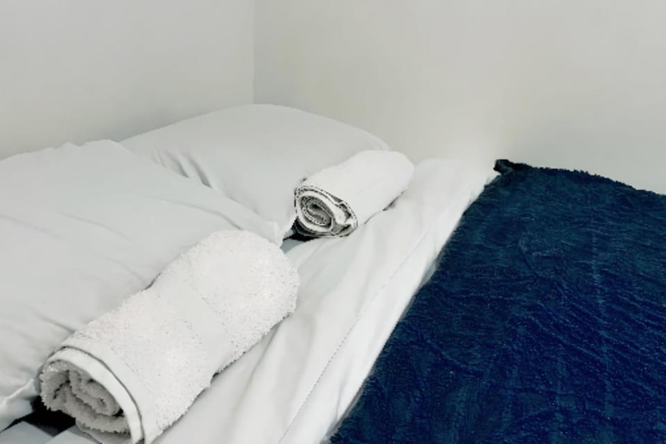 Serene Room - O2 & Excel Center Vacation rental in London