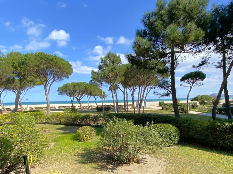 Appartement 3 pièces tout équipé face à la mer pour 4 personnes - FR-1-837-33 Apartment in Argeles-sur-Mer