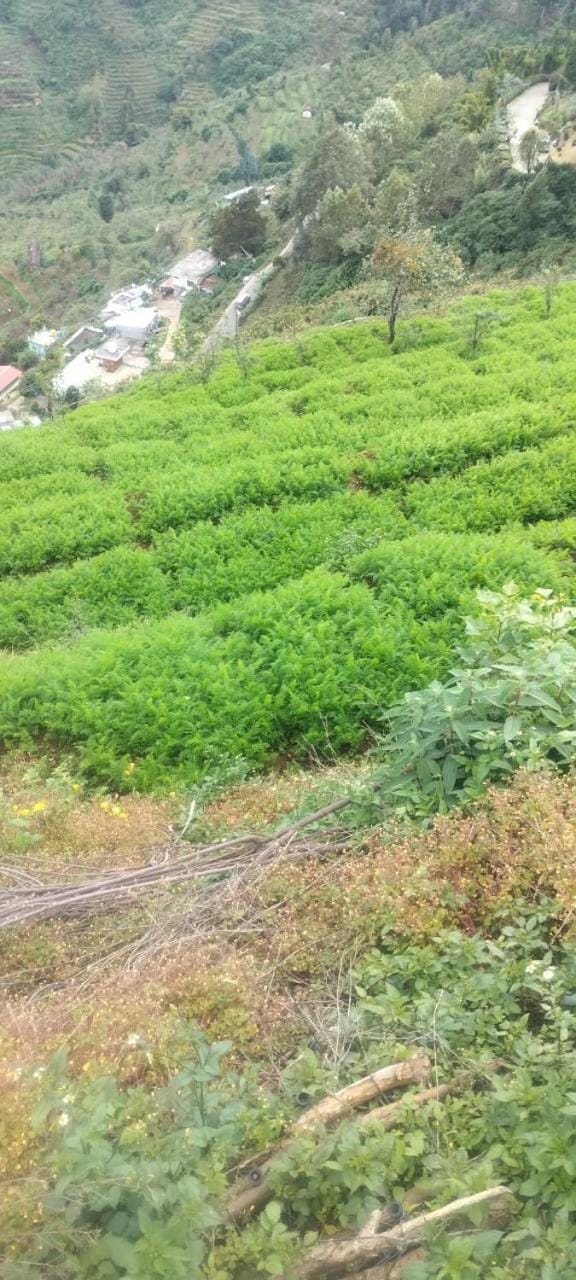 RIYA WOOD HOUSE Kodaikanal Resort in Kodaikanal
