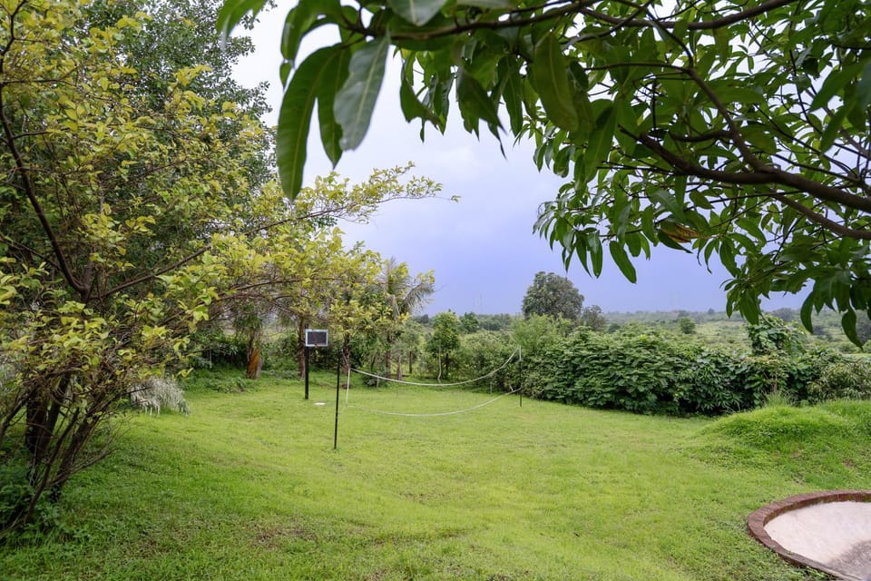 Natural landscape, Garden, Garden view