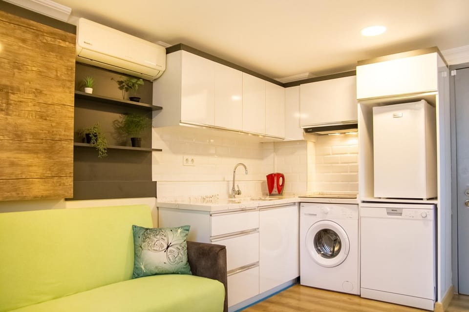 Kitchen or kitchenette, dishwasher, stove