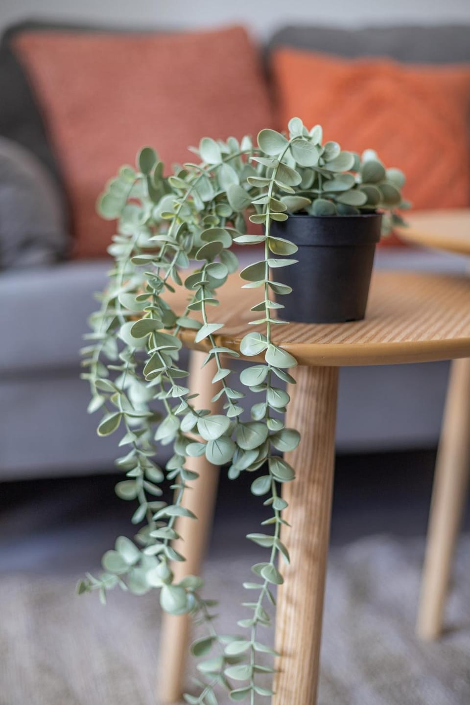 Decorative detail, Seating area