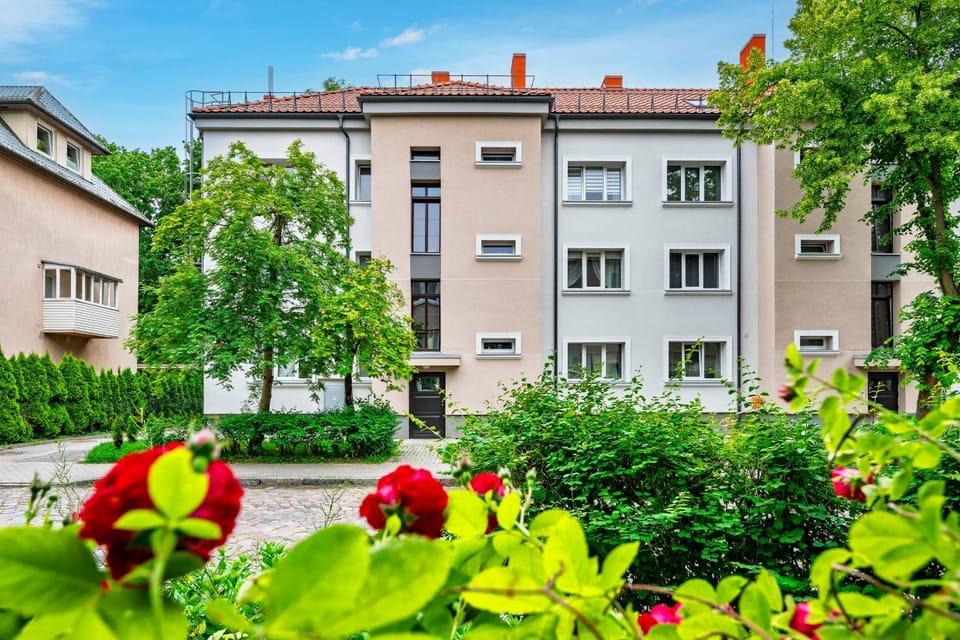 Property building, Day