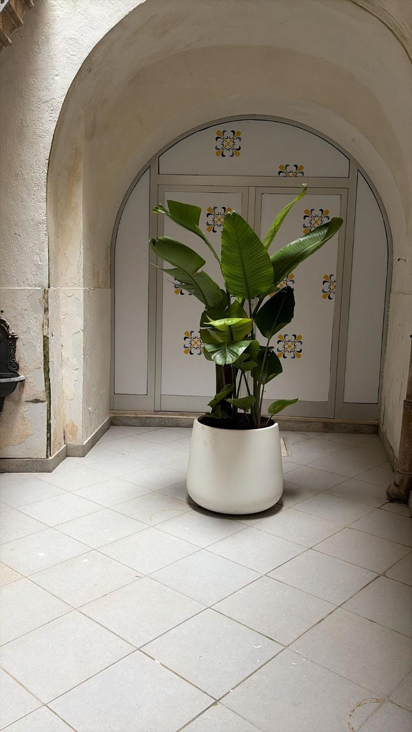 Inner courtyard view