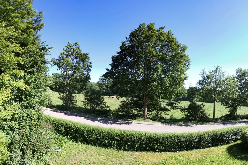 View (from property/room), Other