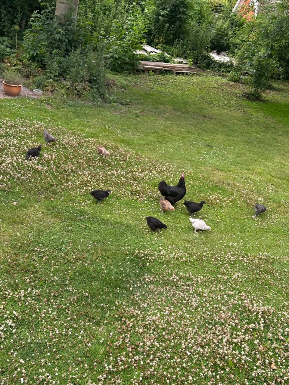 Tjebberupgaard B&B Bed and Breakfast in Zealand