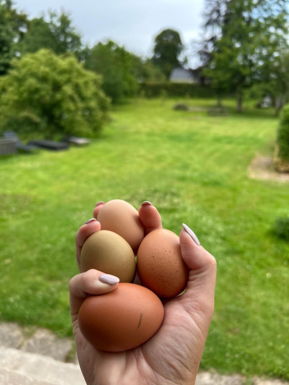 Tjebberupgaard B&B Bed and Breakfast in Zealand