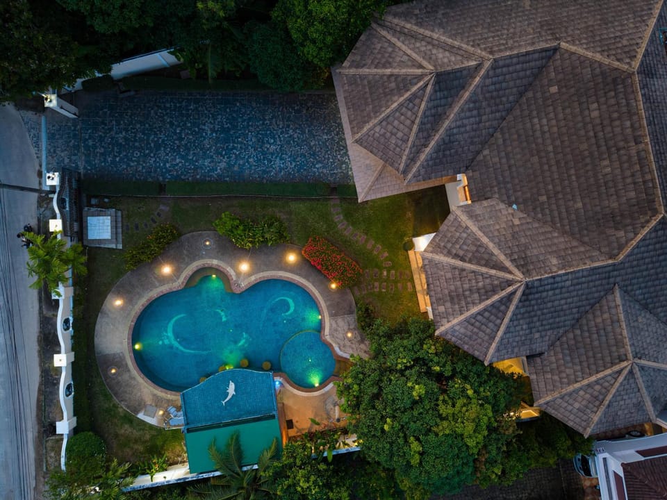Night, Bird's eye view, Swimming pool