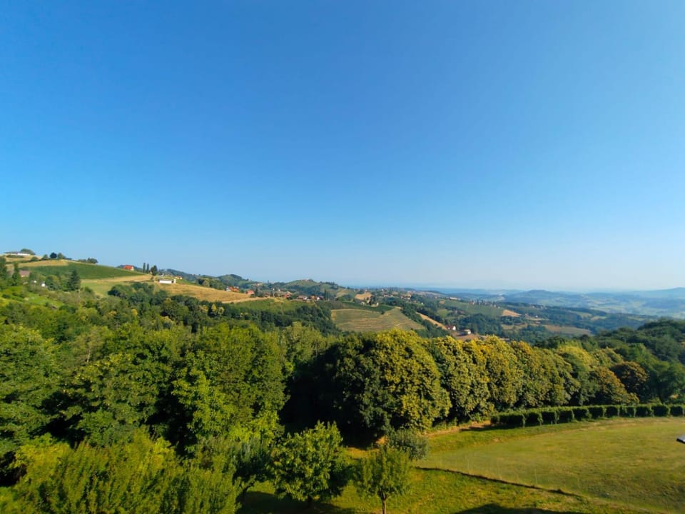 Natural landscape