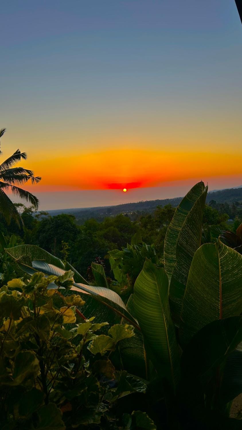 Haris Homestay & Cottages Nature lodge in West Nusa Tenggara, Indonesia