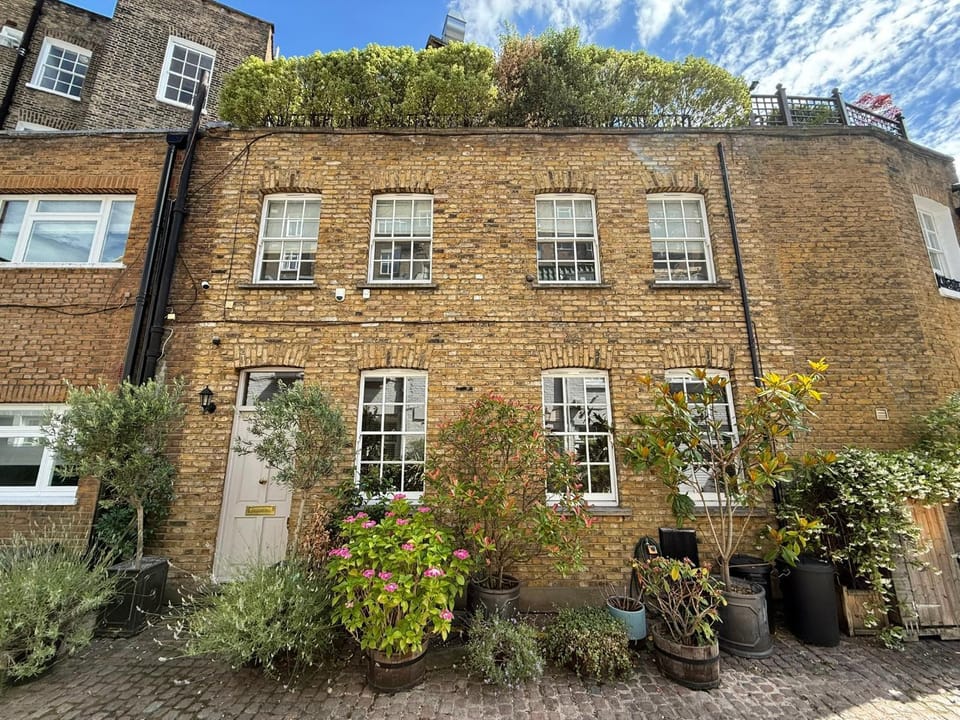 Garden view