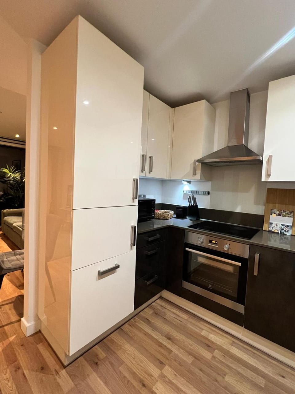 Kitchen or kitchenette, dishwasher, oven