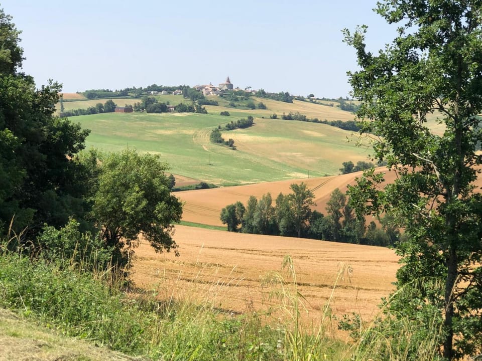 Natural landscape