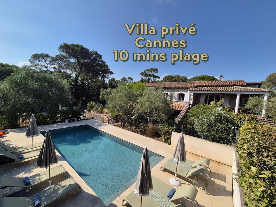 View (from property/room), Swimming pool, sunbed