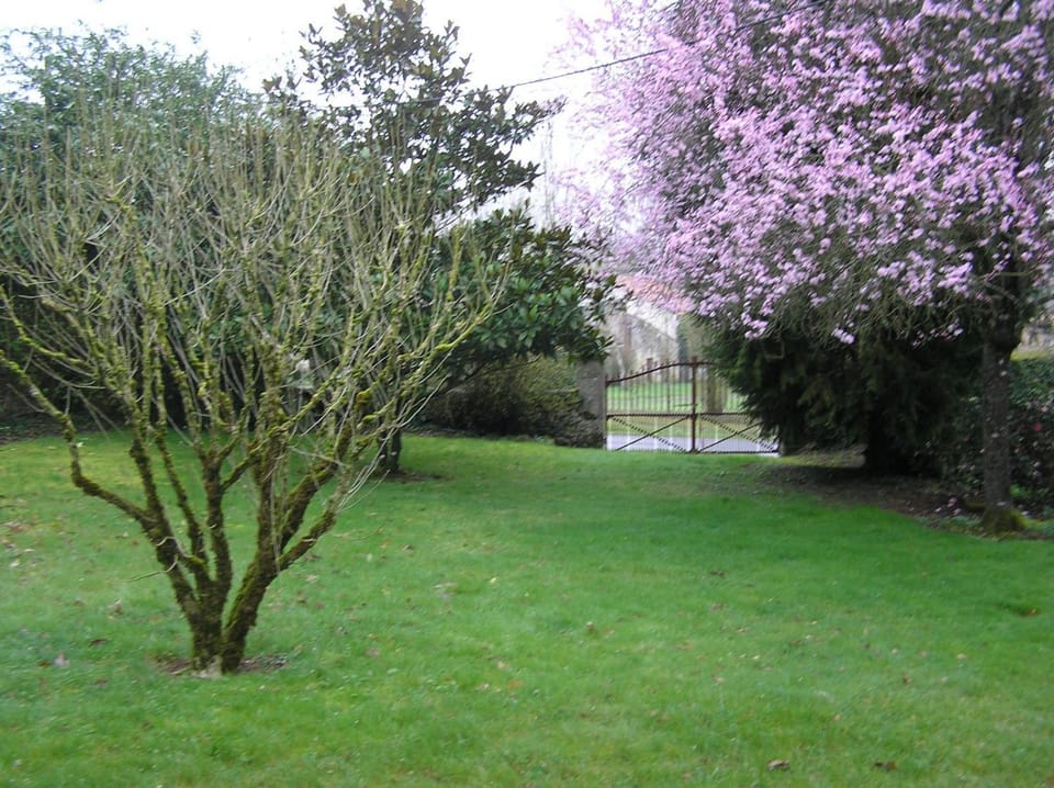 Spring, Day, Natural landscape, Garden, Garden view