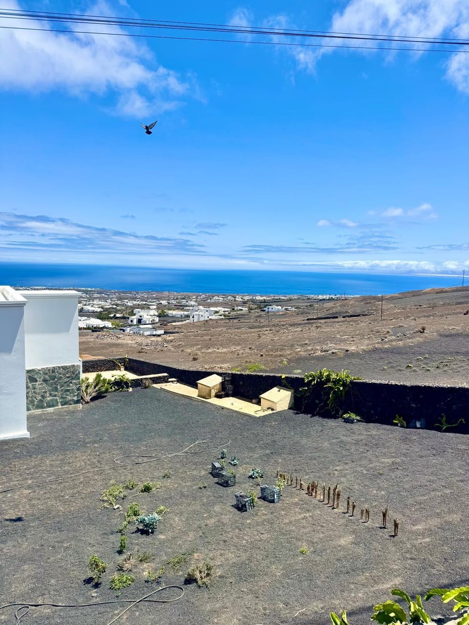 Luxury House La Maison House in Isla de Lanzarote