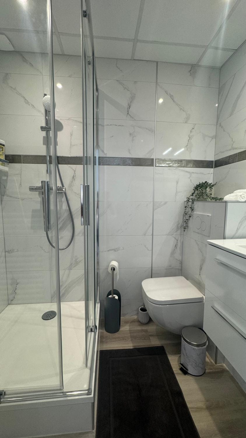 Au Petit Bonheur - Studio - Centre ville Apartment in Sélestat
