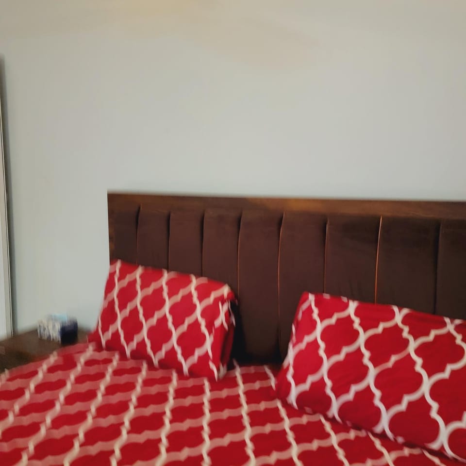 Deluxe Inn Guest House Bed and Breakfast in Karachi