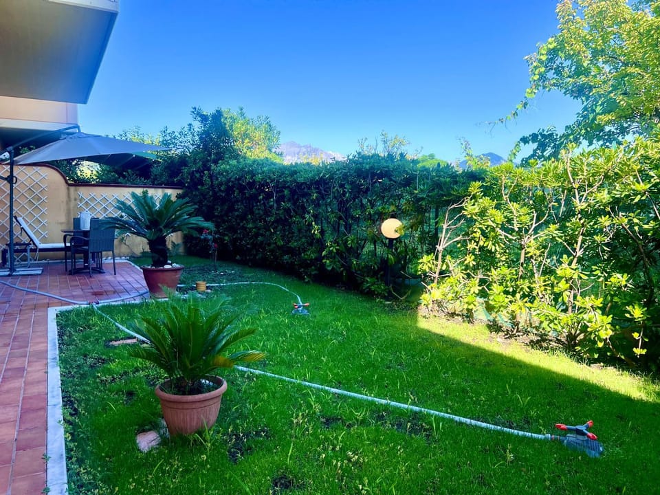 Garden, Garden view