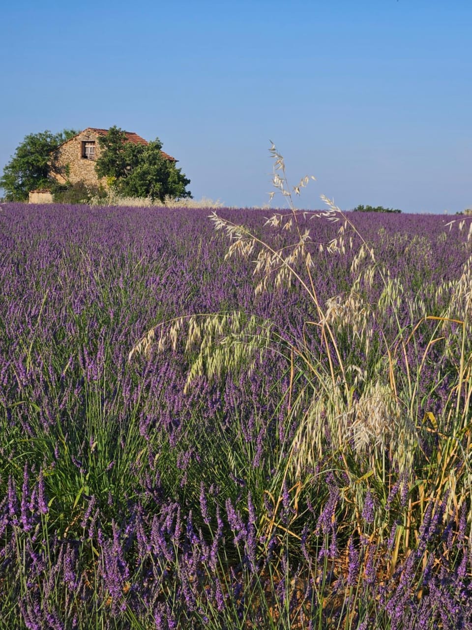 Nearby landmark, Spring, Natural landscape