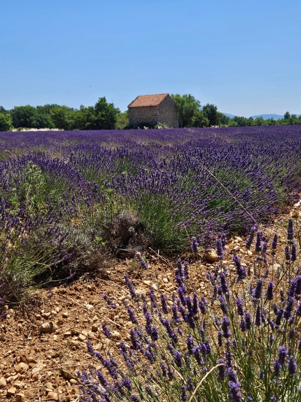 Spring, Natural landscape