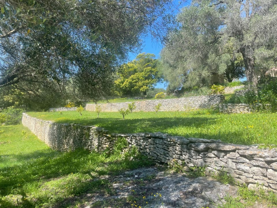 Petite villa T1 Saint Florent Corse sur magnifique terrain arboré 5 minutes des plages et du port de plaisance Villa in Saint-Florent