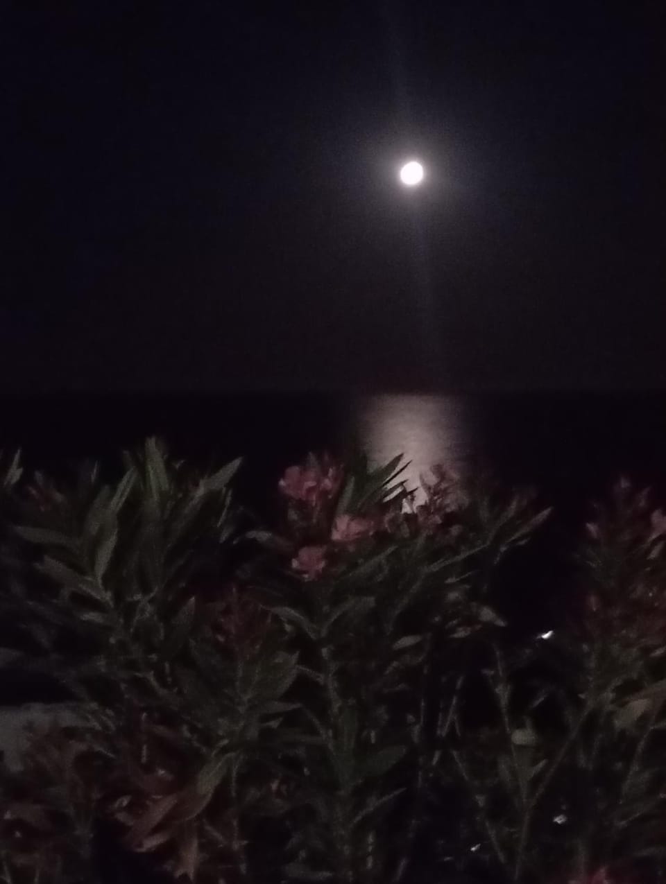 Prasonisi villas House in Decentralized Administration of the Aegean