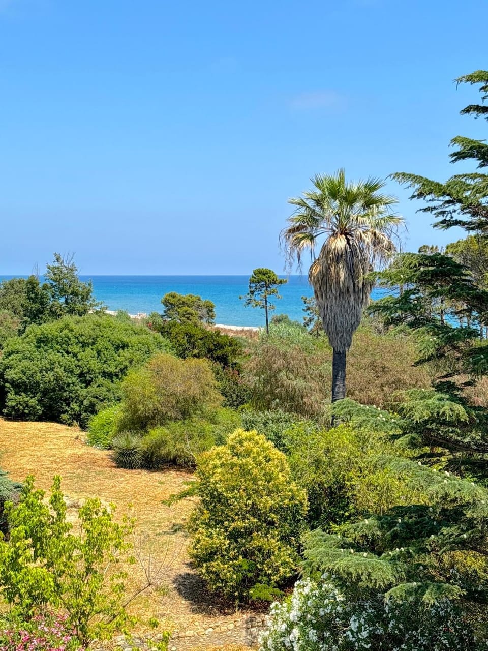 Nearby landmark, Spring, Day, Natural landscape, Garden, Beach, Garden view, Sea view