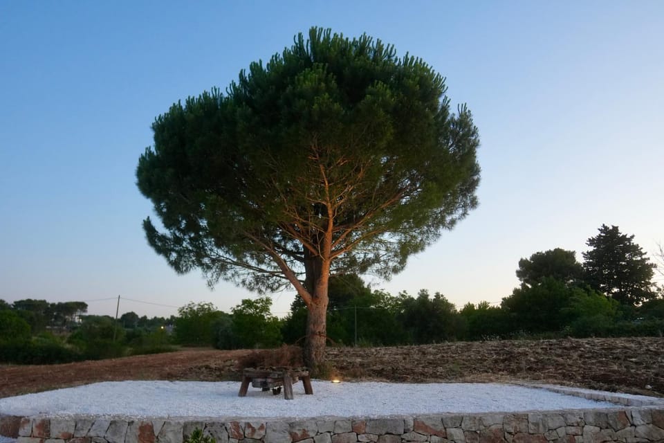 Natural landscape