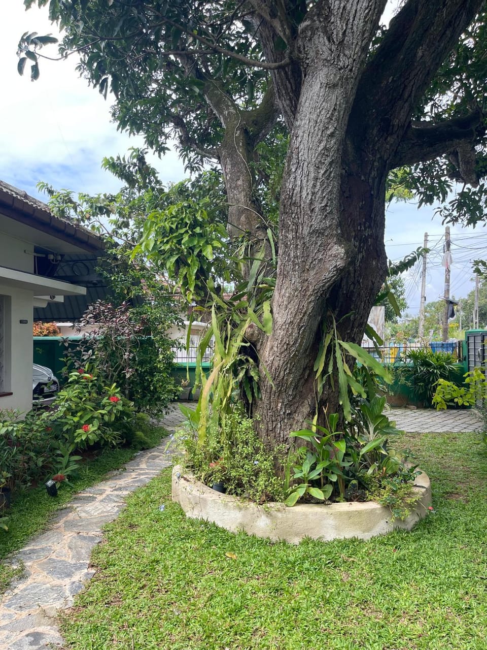 Day, Natural landscape, Garden, Garden view