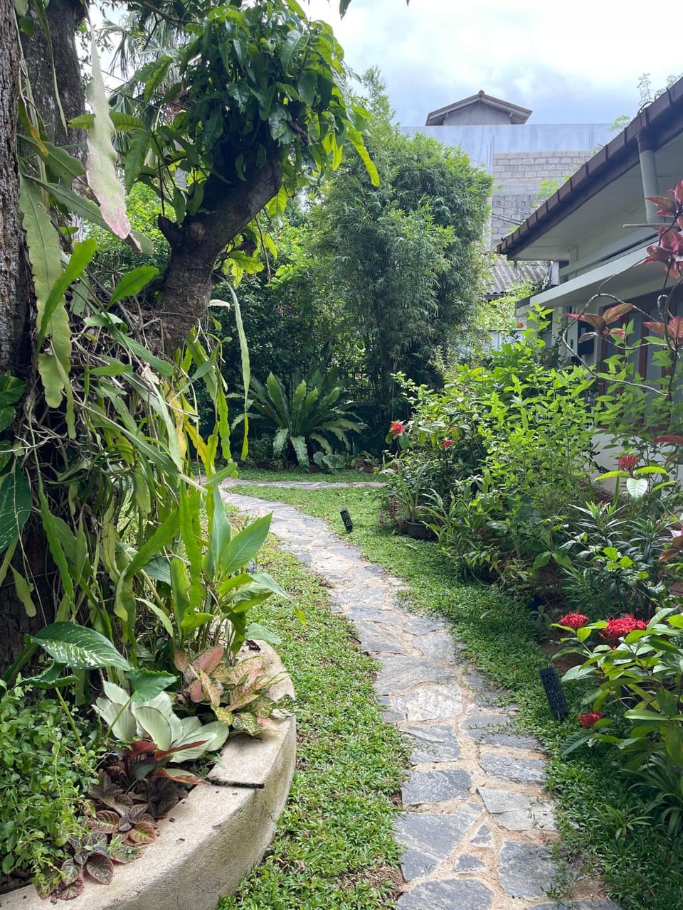 Natural landscape, Garden, Garden view