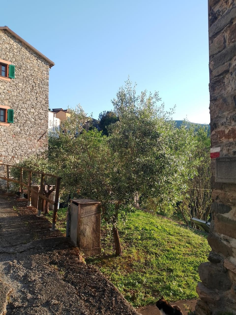 Casa Rossella - Cinque Terre Apartment in Province of Massa and Carrara