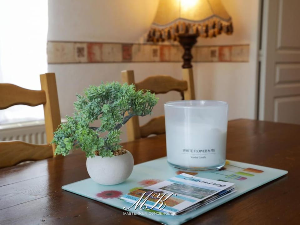 Le Hamac Ambiance chaleureuse, Commercy Apartment in Grand Est